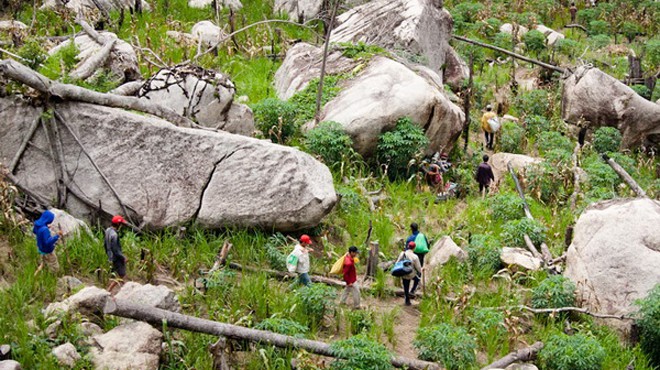 Ác mộng kỳ nam